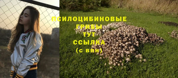 МДМА Арсеньев