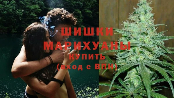 бошки Аркадак