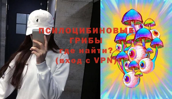 mdpv Армянск