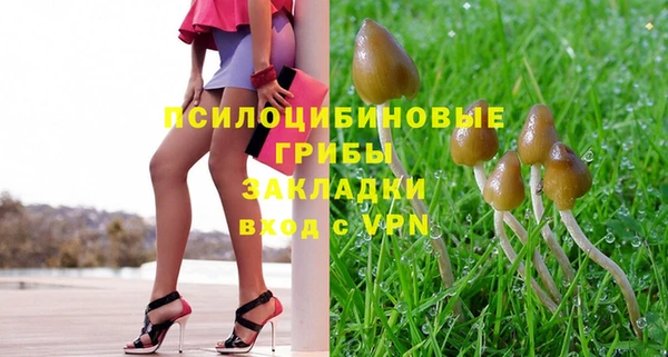 бошки Аркадак
